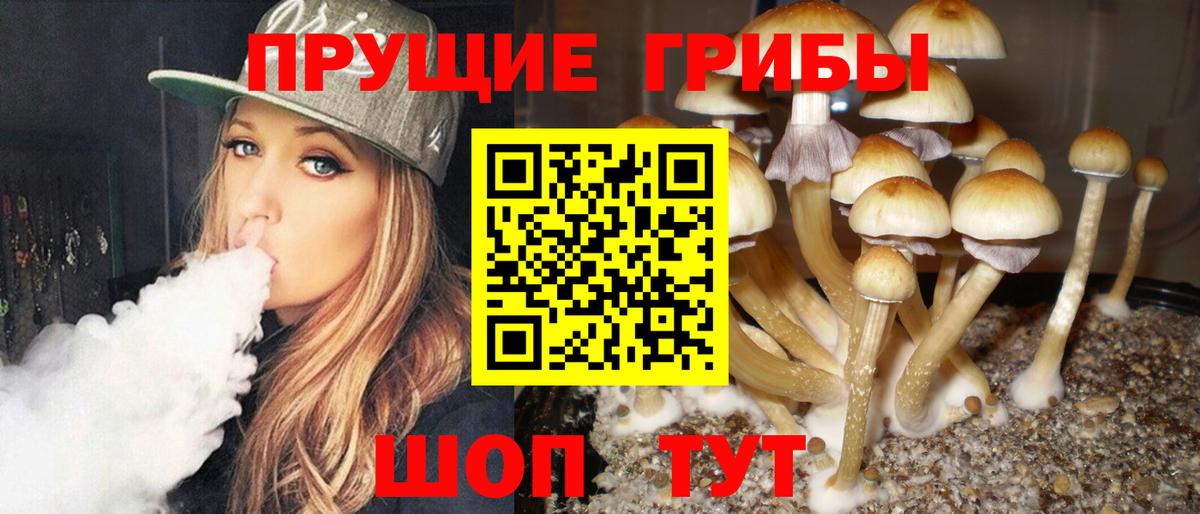 Галлюциногенные грибы ЛСД  Галлюциногенные грибы GOLDEN TEACHER  Вход с VPN  Наро-Фоминск 