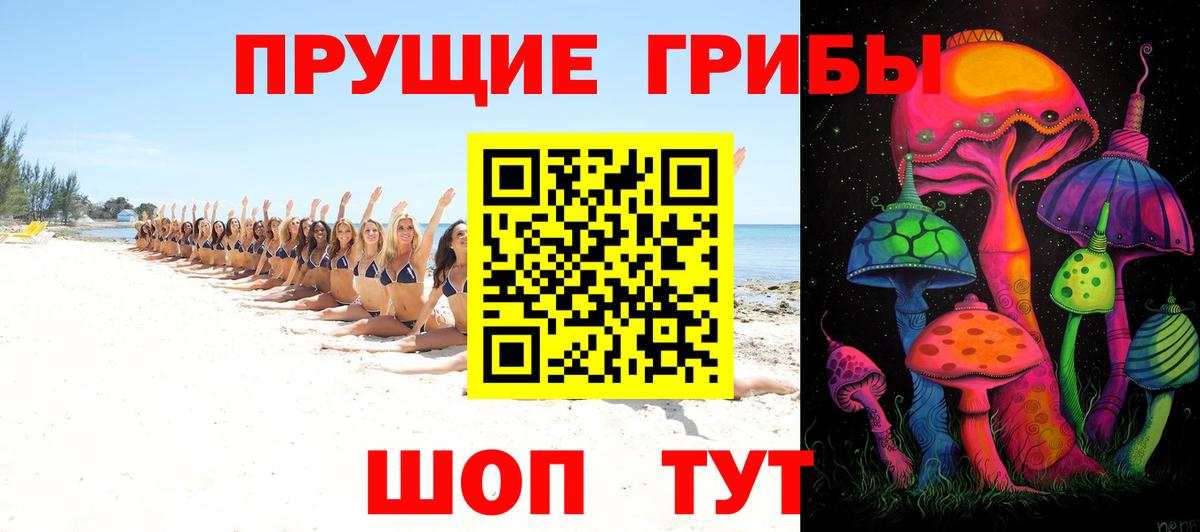 Псилоцибиновые грибы Cubensis Наро-Фоминск